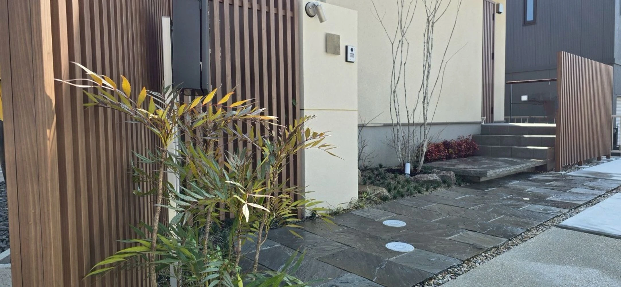画像2882