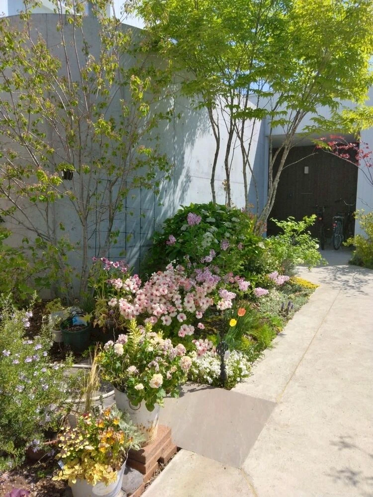 画像3321