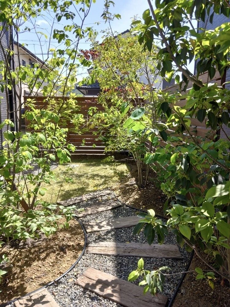 画像3424